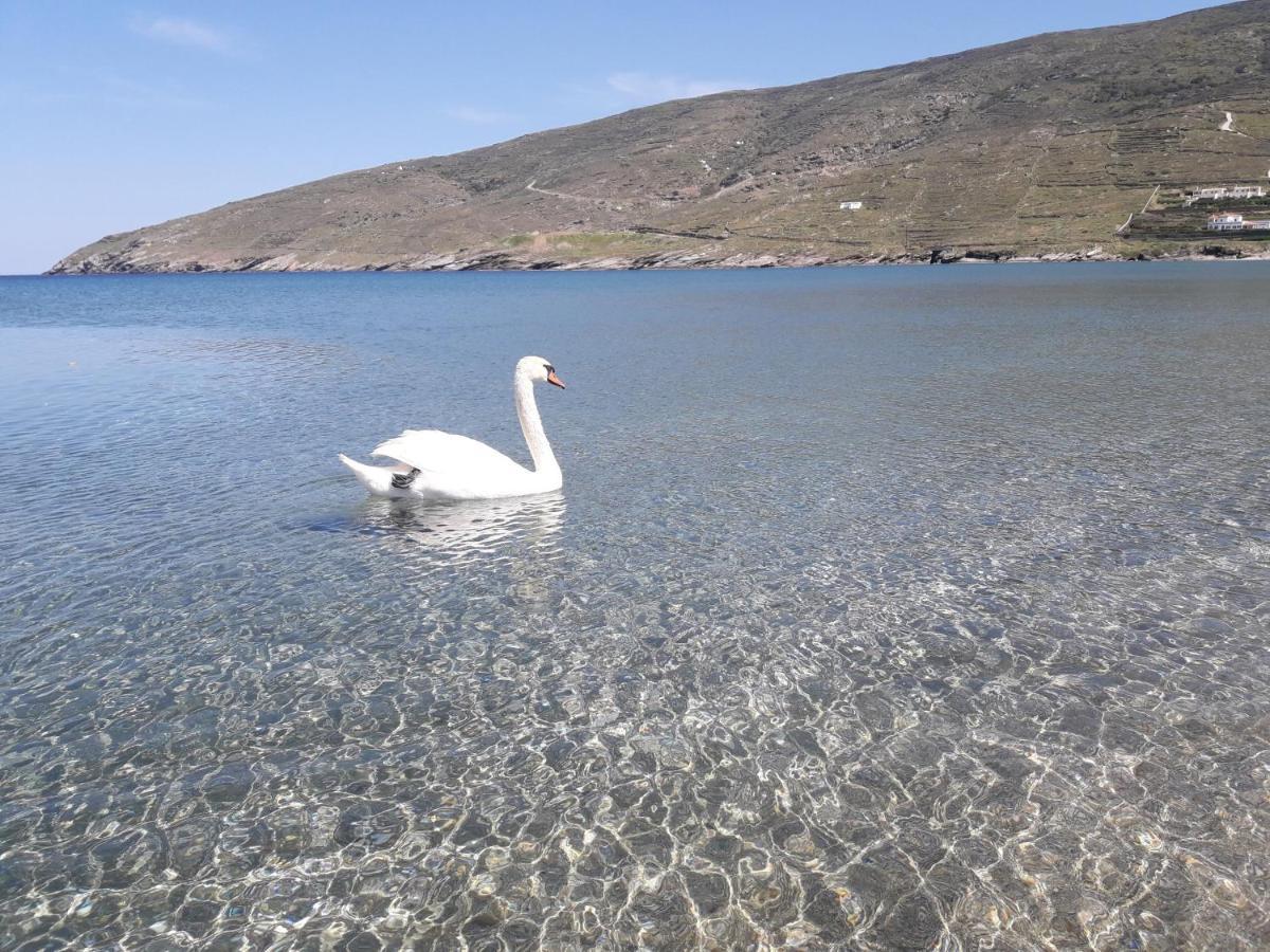 Liopi Village Andros Ormos  Exterior photo